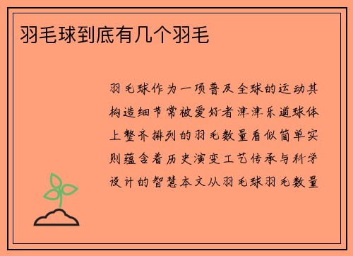 羽毛球到底有几个羽毛