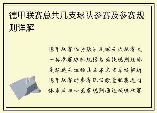 德甲联赛总共几支球队参赛及参赛规则详解